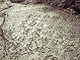 Chinese graffiti, found on Sogumgang. Chinese graffiti, found on Sogumgang.