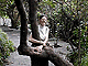 A tree nearly blocks the sidewalk on Cheju. A tree nearly blocks the sidewalk on Cheju.