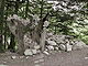 Many people have added to this large rock pile. Many people have added to this large rock pile.